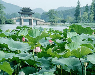 ����̩��